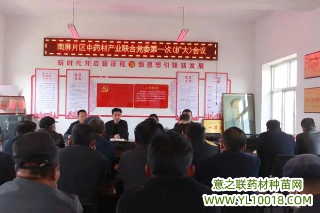 临洮县南屏片区中药材产业联合党委召开2023年第一次扩大会议