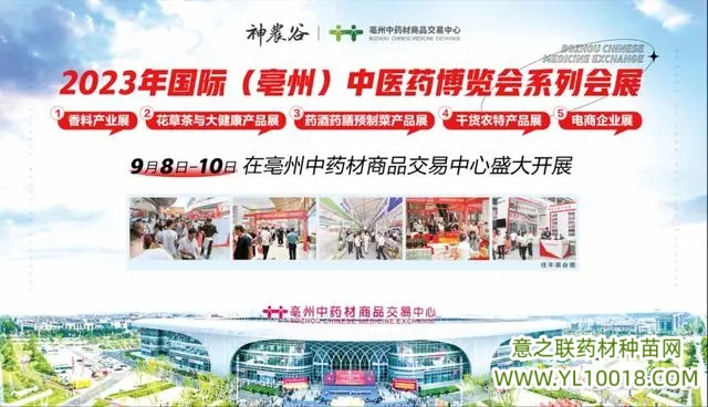 安徽：第39届亳州中医药博览会