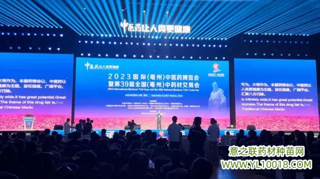 2023国际中医药博览会在亳州开幕