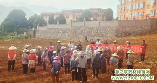 贵州：安顺市农业农村局到关岭开展中药材种植现场培训