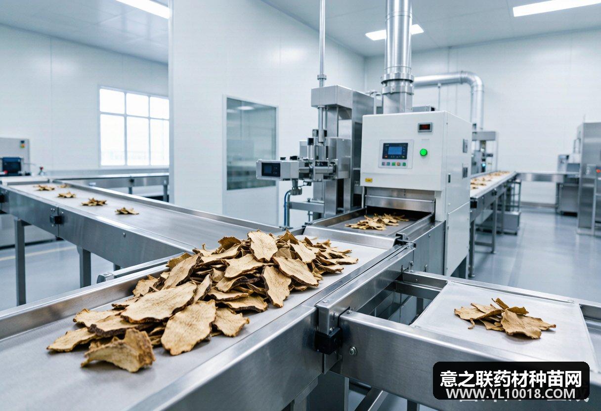 全国中药饮片联盟集采落地 广东药企锚定&ldquo;选货&rdquo;赛道