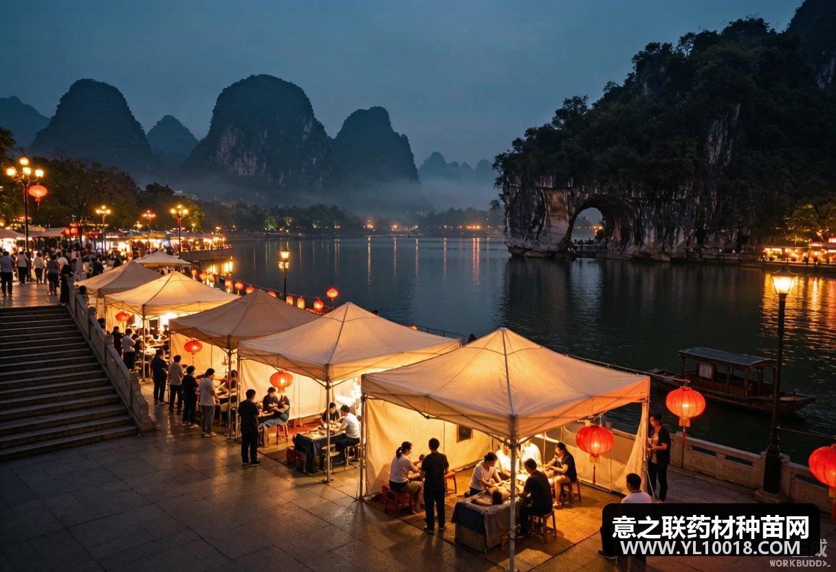 桂林漓江中医夜市启幕 山水夜色送中医药惠民大餐