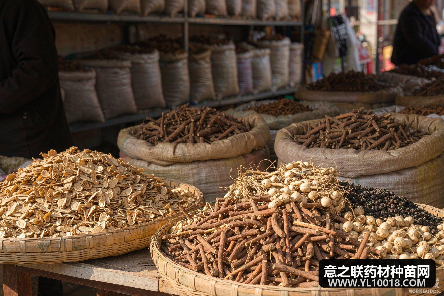 产地快讯:浙江磐安浙贝母持续上涨 河南潢川猫爪草有商寻货 吉林抚松生晒参按需走动