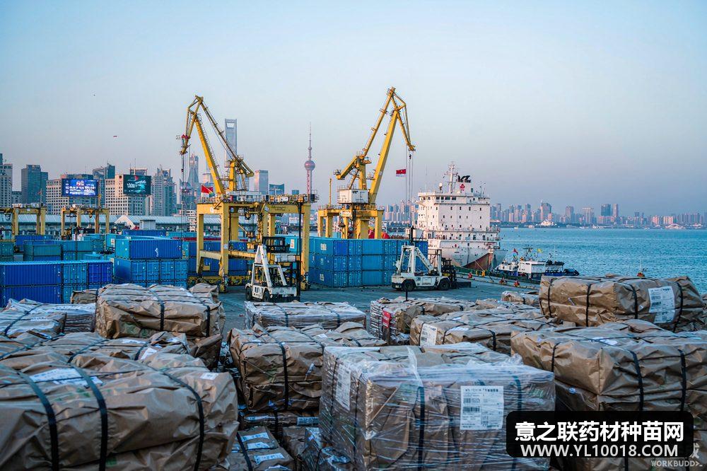 全国外贸承压 亳州前7月中药材进出口逆势增长25.6%