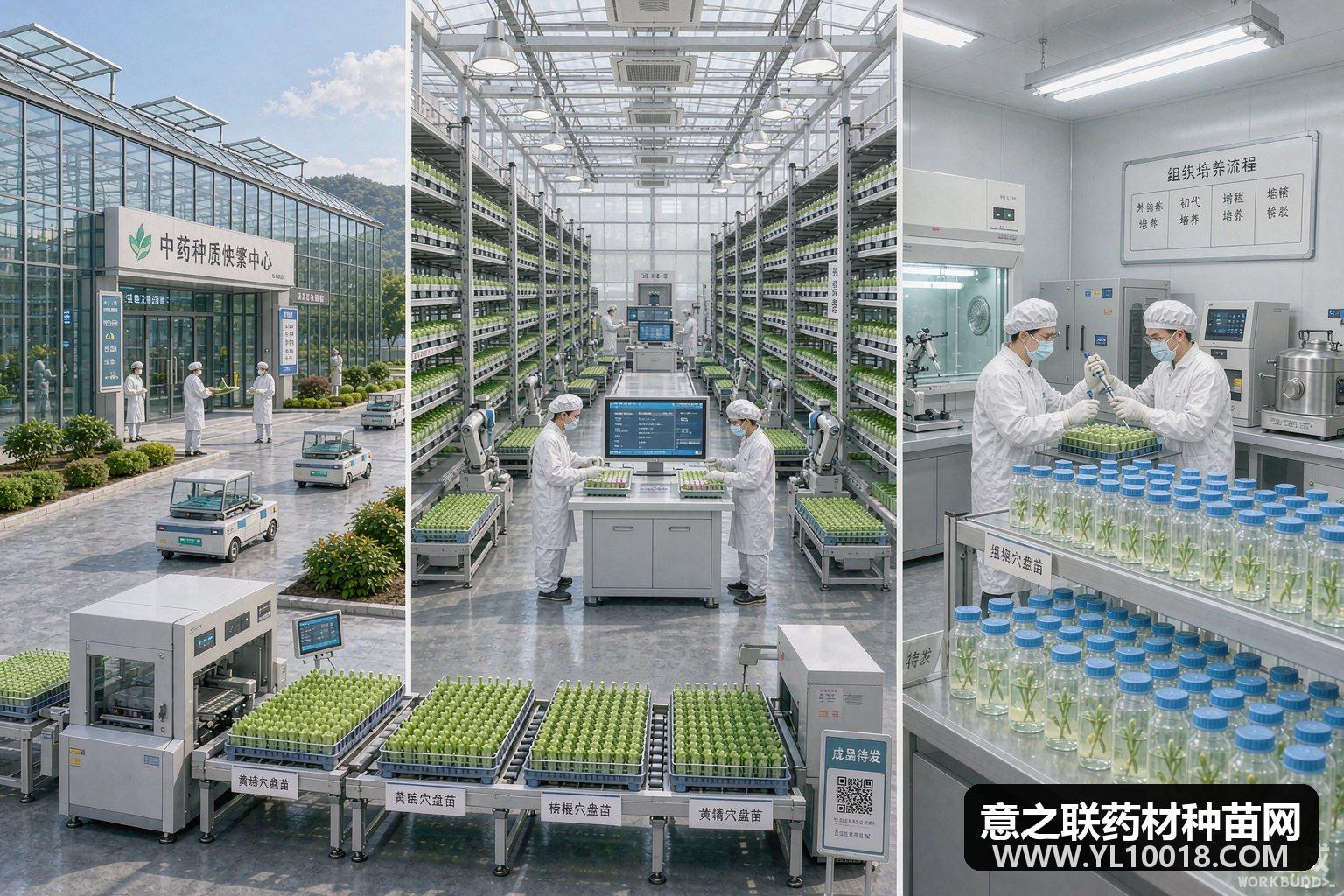 河南卢氏县建中药材种质资源保护及工厂化育苗基地