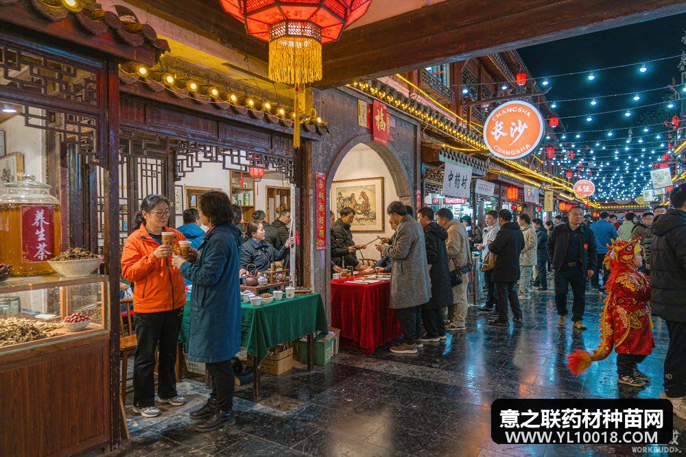 马王堆之夜中医药惠民夜市长沙开市 剧本游+AI辨体质受热捧