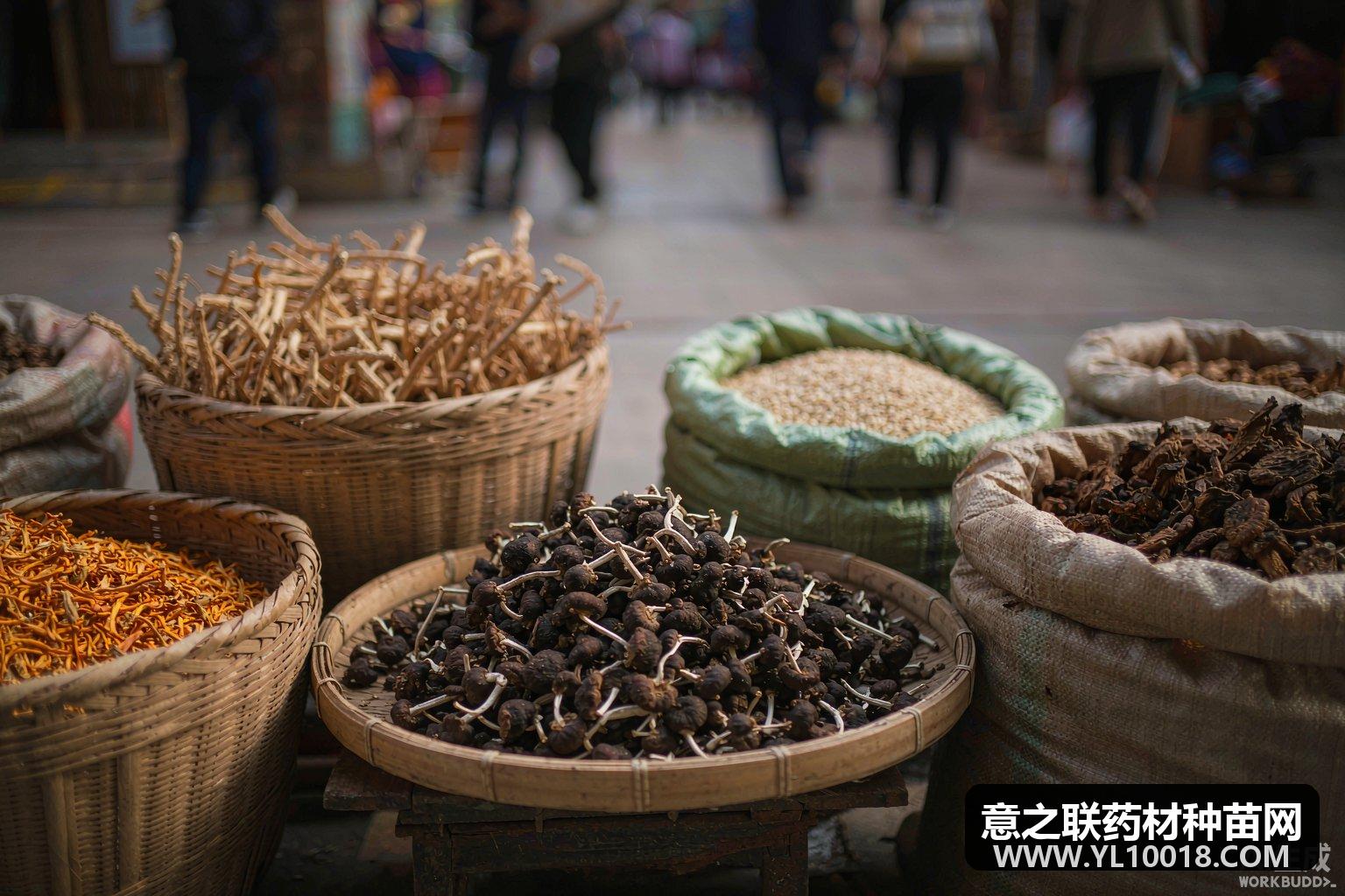亳州市场快讯:刺梨需求下滑走动放缓 行情暂稳 统货9-10元