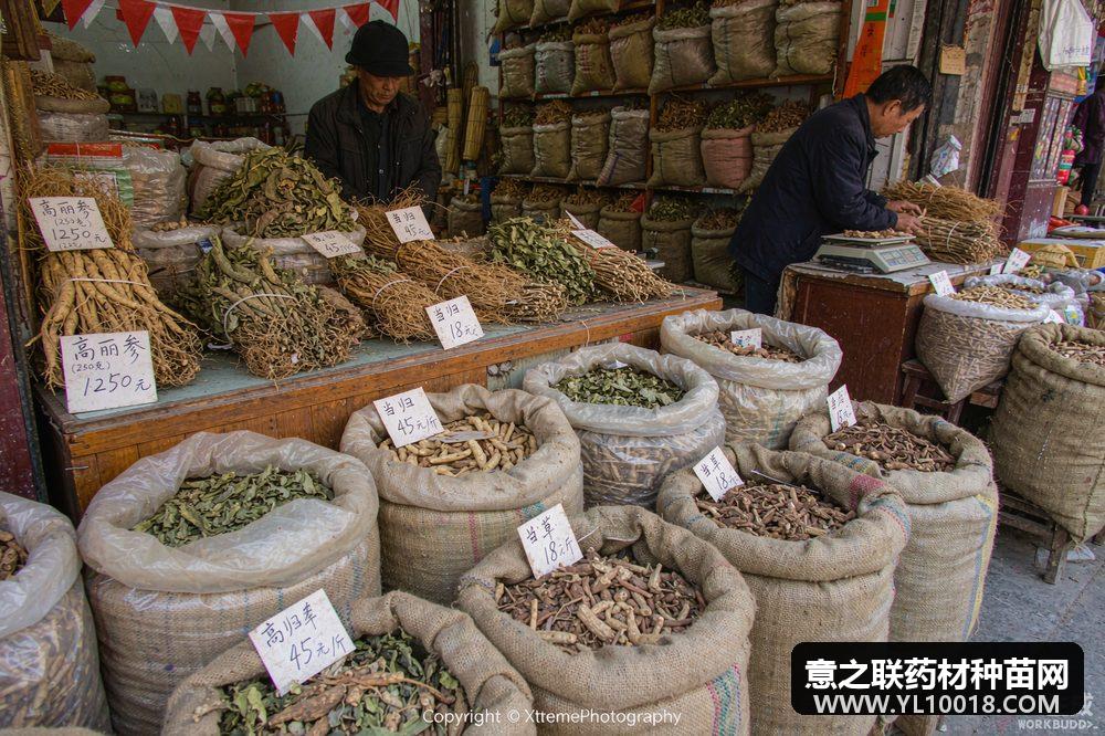 康美十日总指数报1476.23点 蒺藜虻虫跳水 小品种逆势坚挺