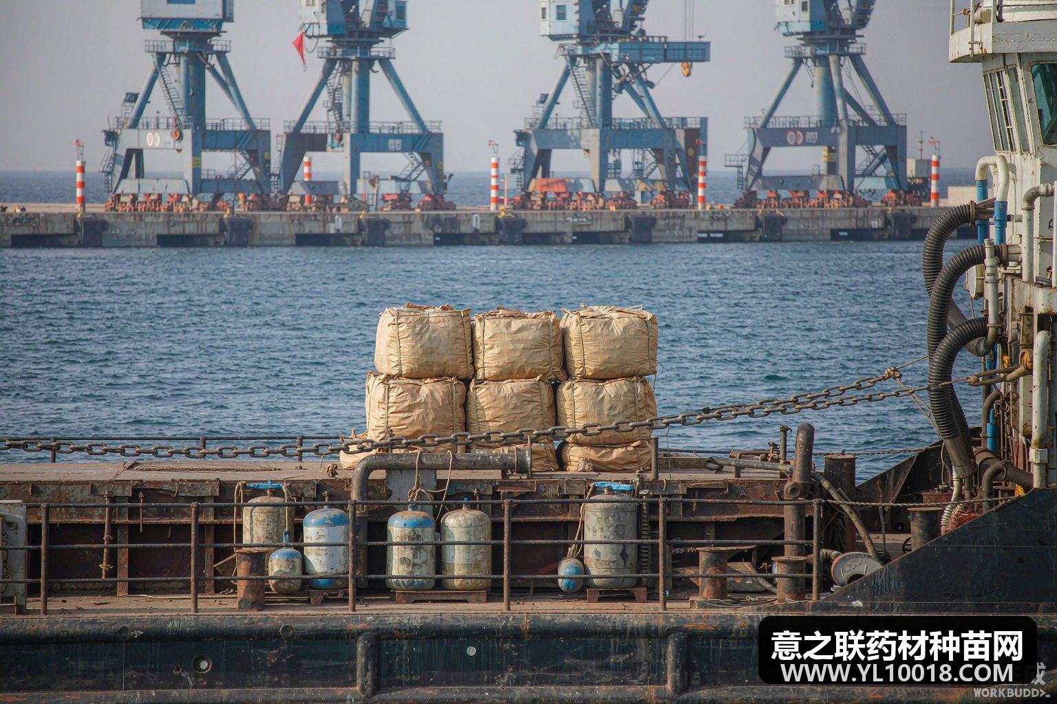 东南亚11国中药材获准输华 准入清单扩容打通双循环