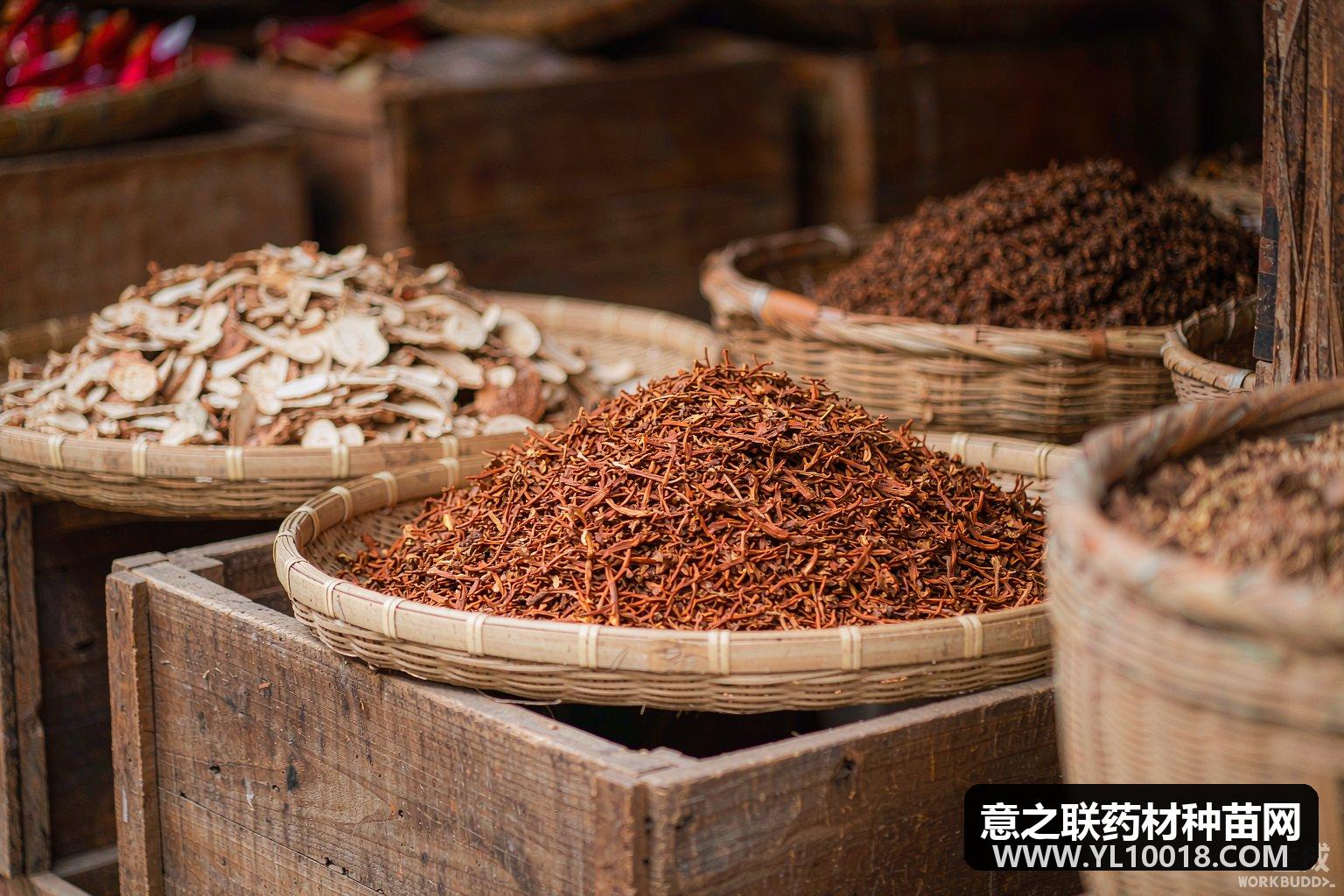 十日涨跌:蒺藜虻虫大跌,产新茯苓价疲,砂仁八角下滑