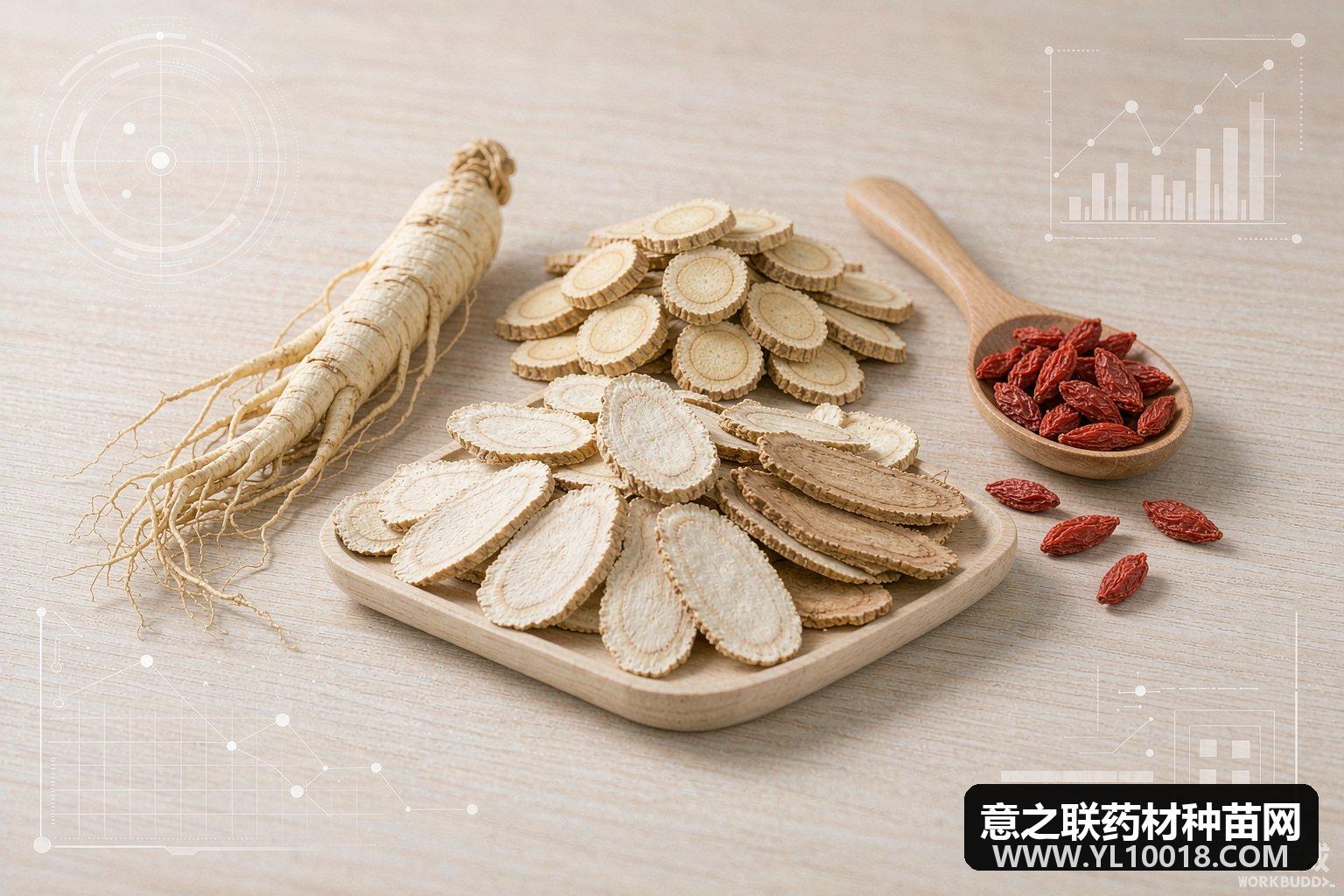 第42届全国（亳州）中药材交易会9月8日启幕