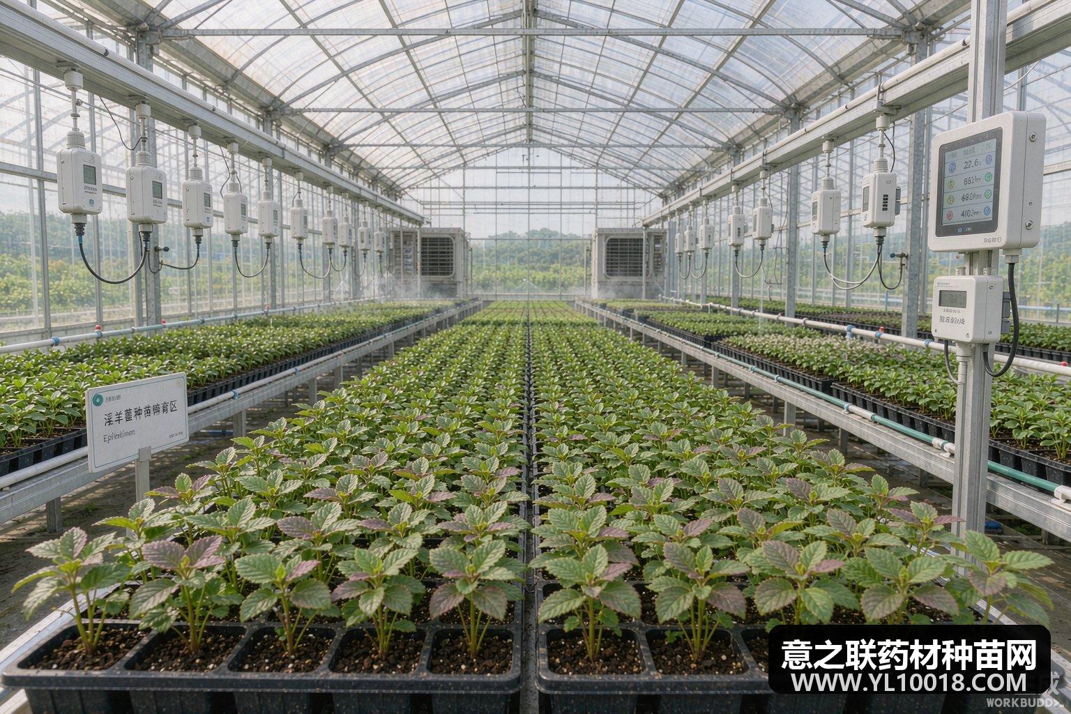 漳县淫羊藿工厂化育苗中心投用 年繁良种500万株夯实种源根基