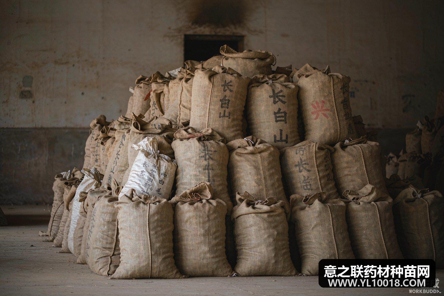 当归天麻等大众情人陷过剩低迷 盲目扩种敲响警钟