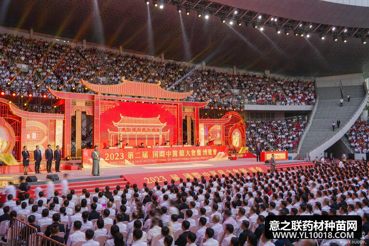 第42届亳州药博会开幕 四大成果发布