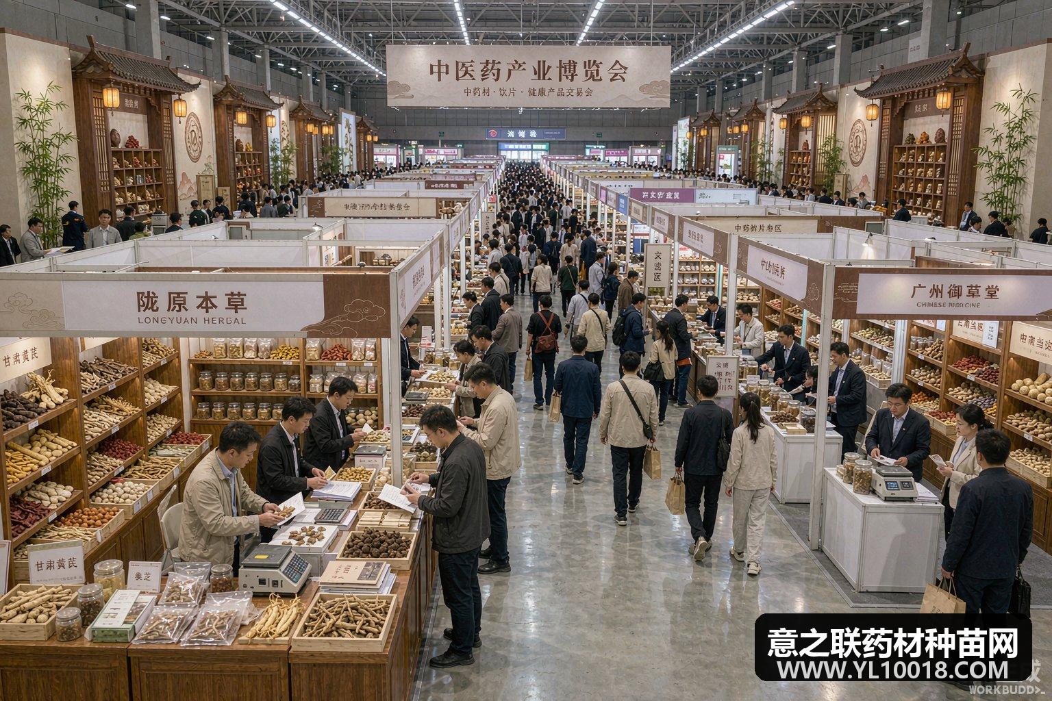 药博会现场 AI望闻问切与数控切药机受关注