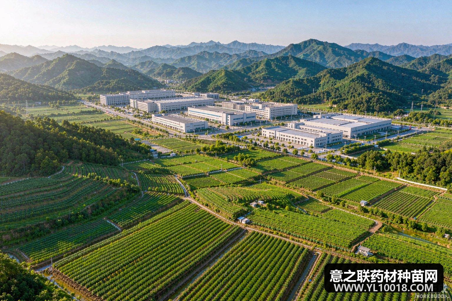 《湖南省促进中医药产业高质量发展若干措施》印发 用地税收金融齐赋能