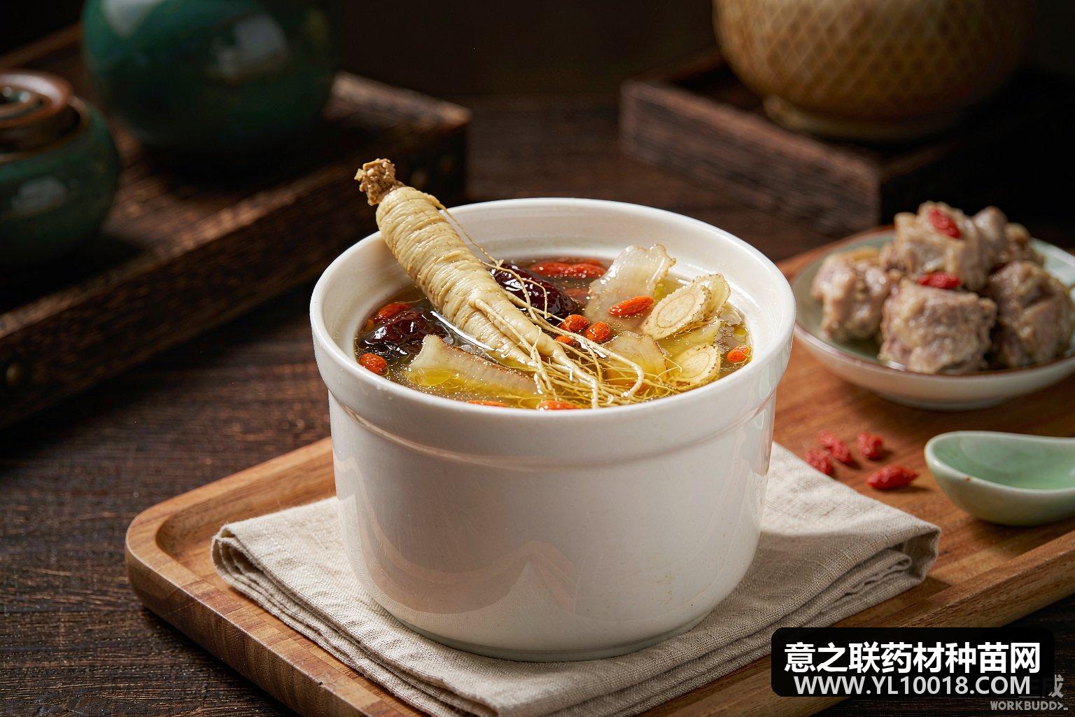 第二届中医药膳食养大会暨华佗杯药膳大赛在亳州举办