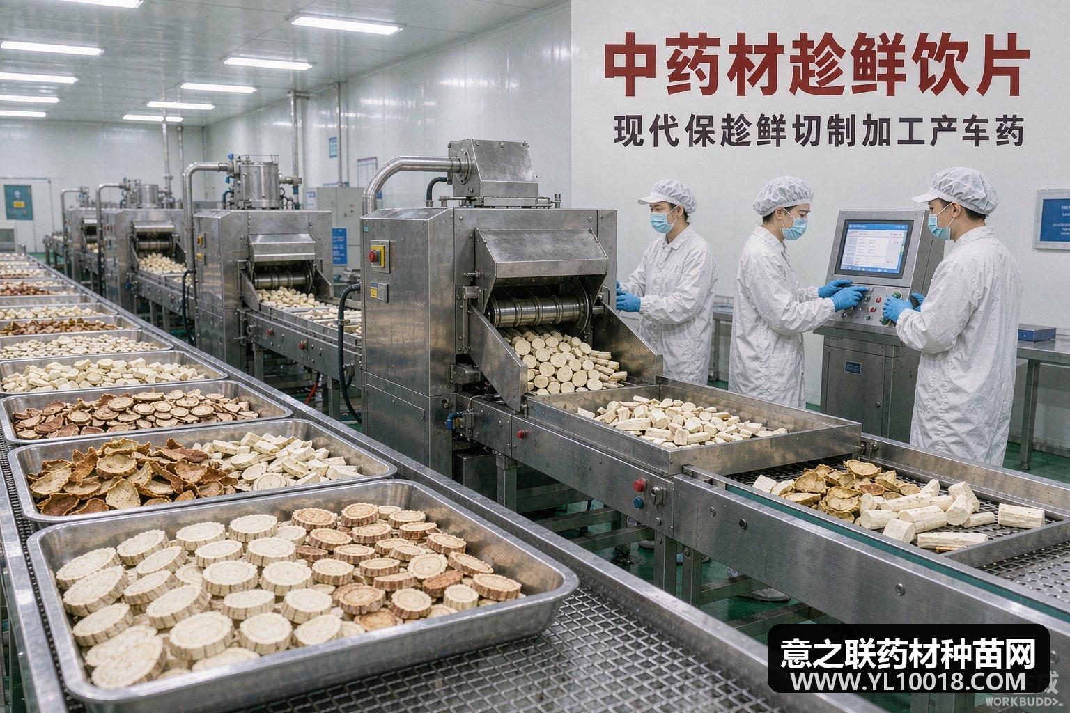 邵东公布第五批产地趁鲜切制企业 湘产药材&ldquo;鲜切&rdquo;规范化提速