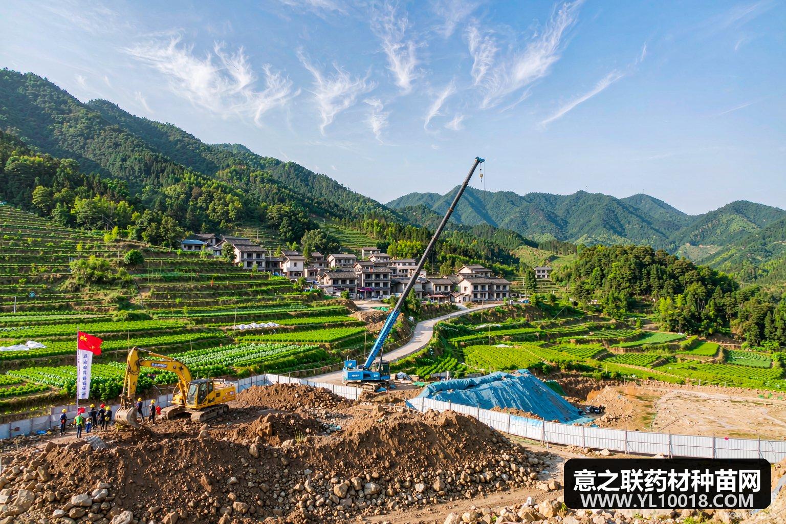 永嘉5300亩中药材产业园动工 荒山变药谷