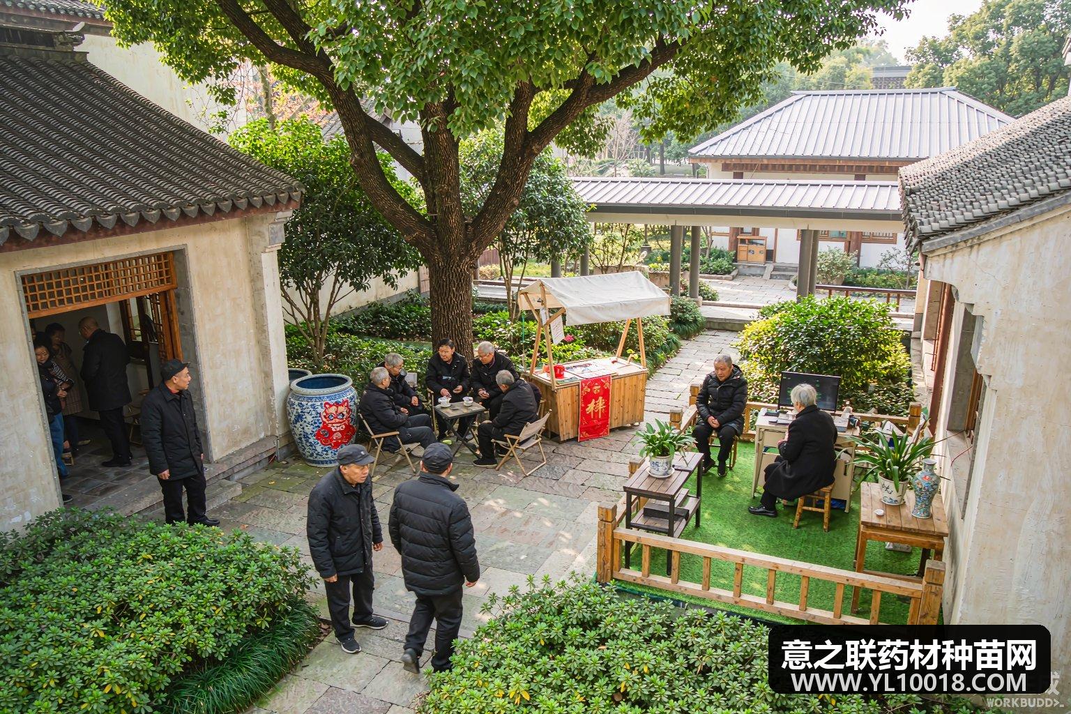 六安中医药康养文旅融合试点启动 皋陶医学引流新消费