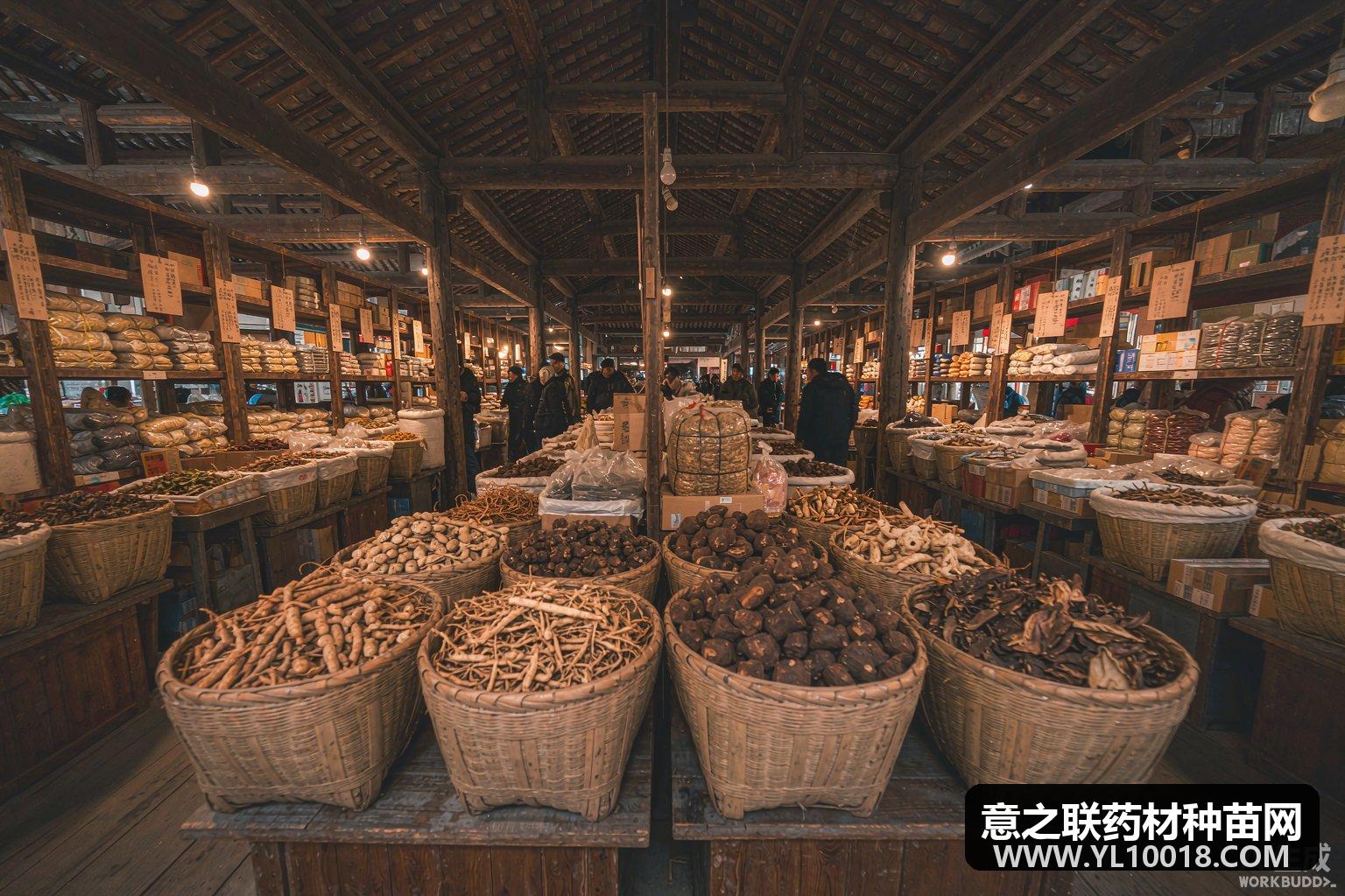 9月21日至27日综合200中药材价格指数环比跌0.5% 牛膝辛夷大幅回调