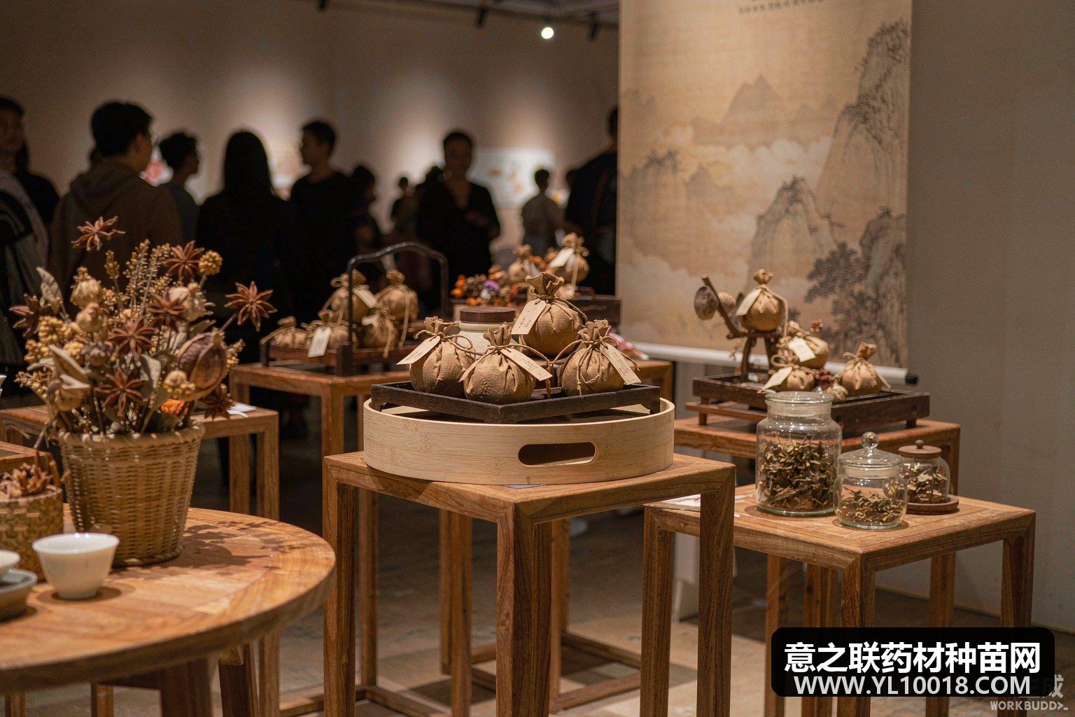成都世博园中医药体验展国庆爆火 中药微博物馆单日超千人