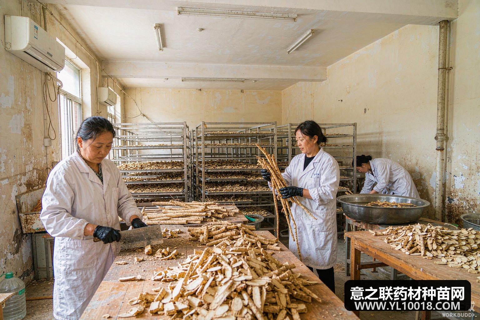 民乐县趁鲜切制第二批企业遴选结果公布