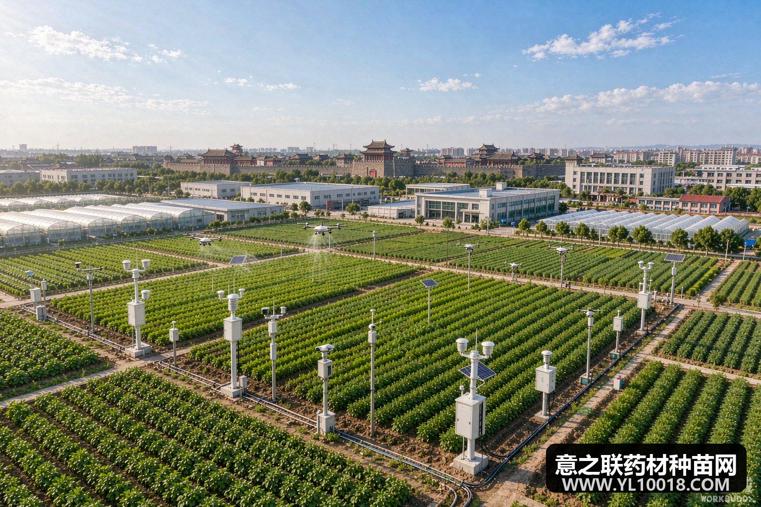 千年药都樟树数智蝶变 中药气象小镇引领