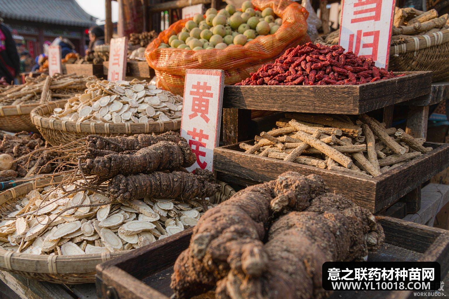 紫苏子价格略显疲软 产地走销缓慢