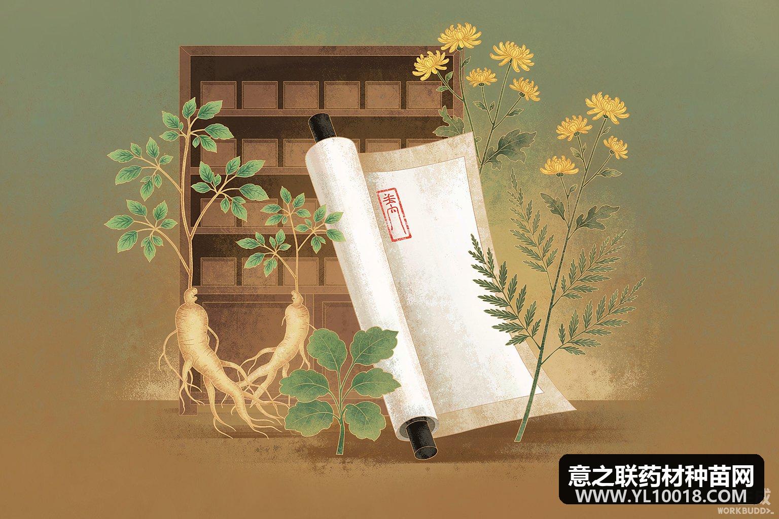 国家药监局公告:莲心胶囊等9个中药品种转换为非处方药(2026年第98号)