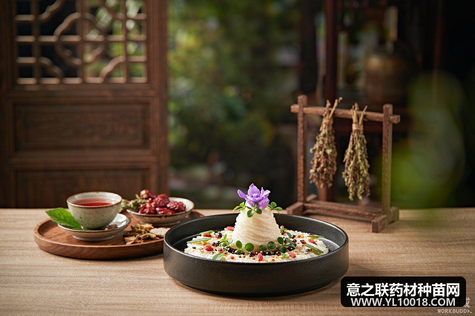 邵阳旅发大会启幕 药王康养与药膳端上寻常餐桌
