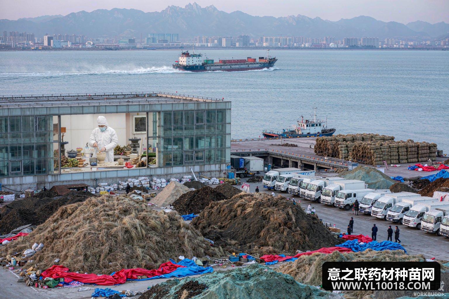 内蒙古出台进口药材联合检验机制 边境通关提速