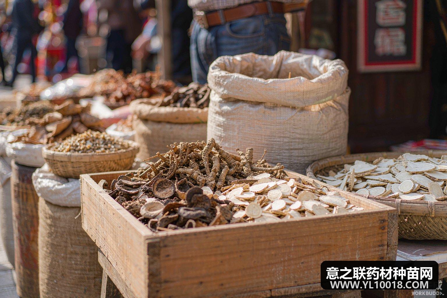 佛手价格较前期有小幅下降 产区产新结束