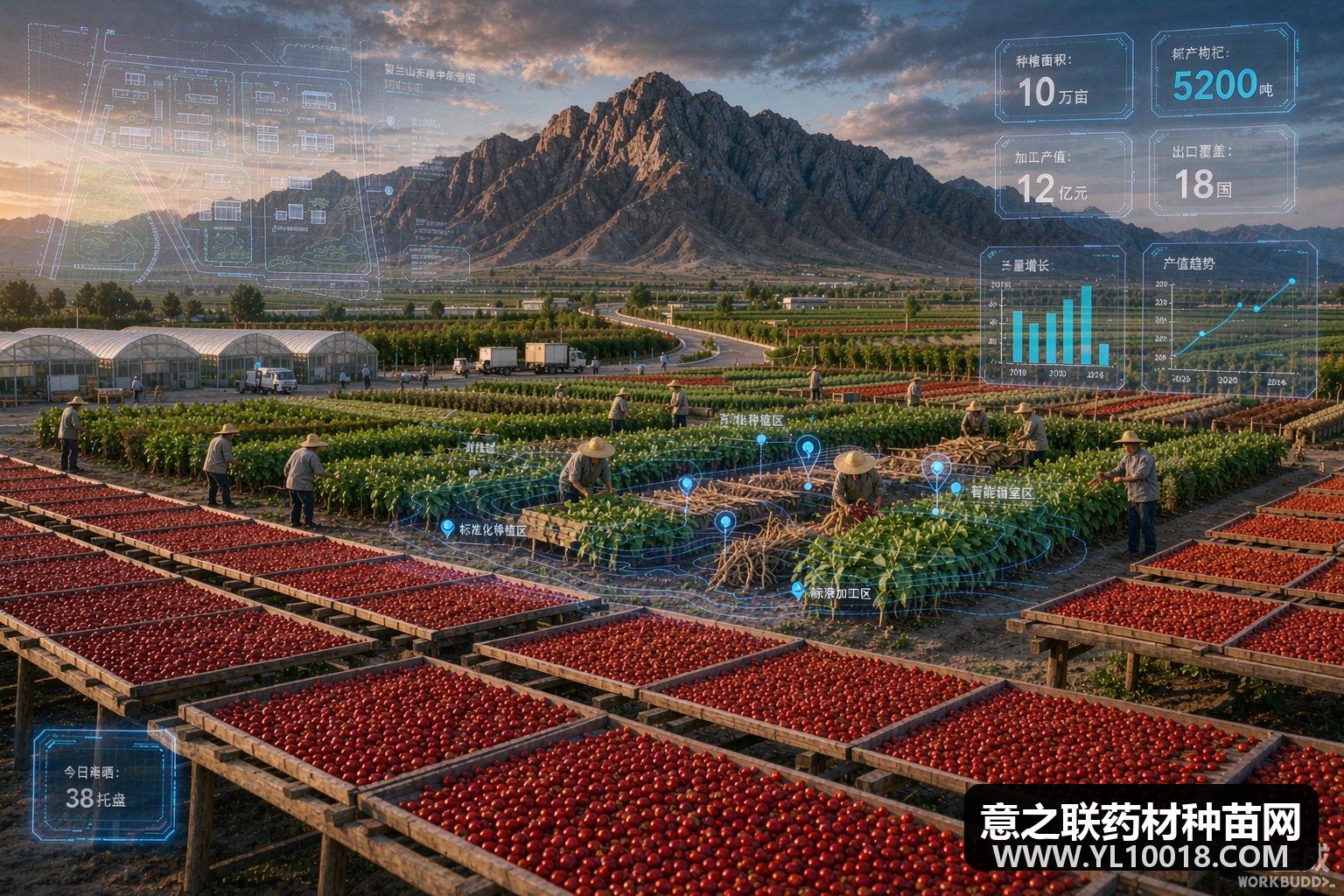 宁夏部署十五五中医药发展