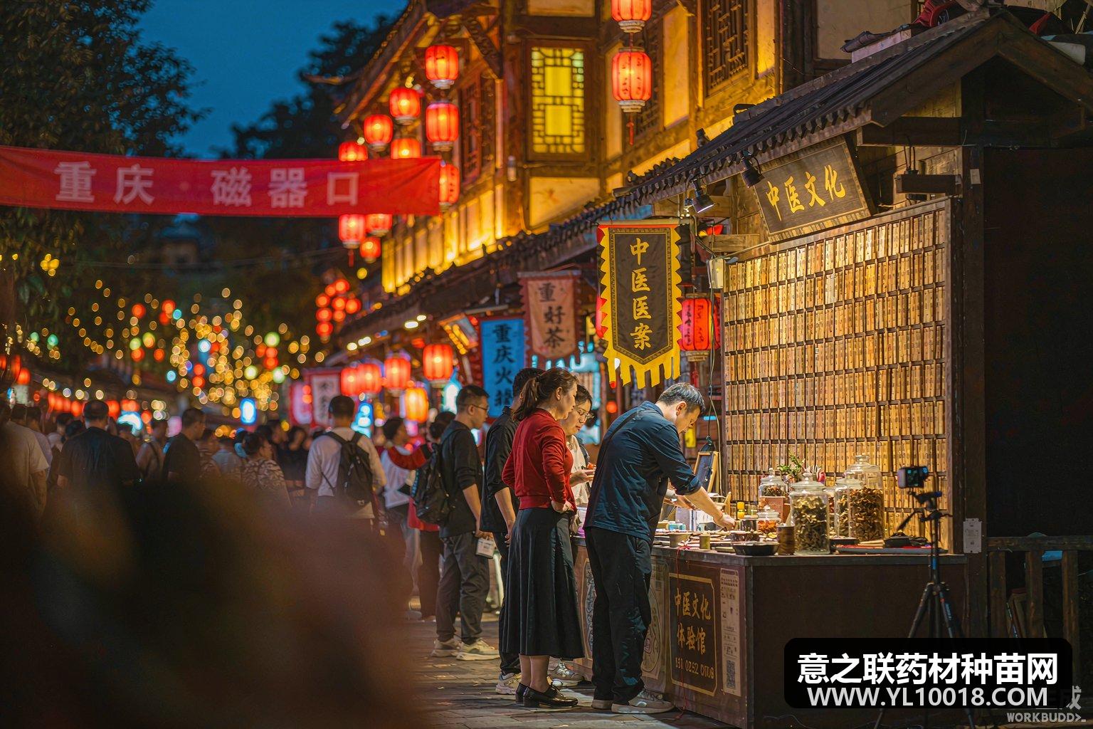 重庆沙坪坝中医药文化夜市火热启幕