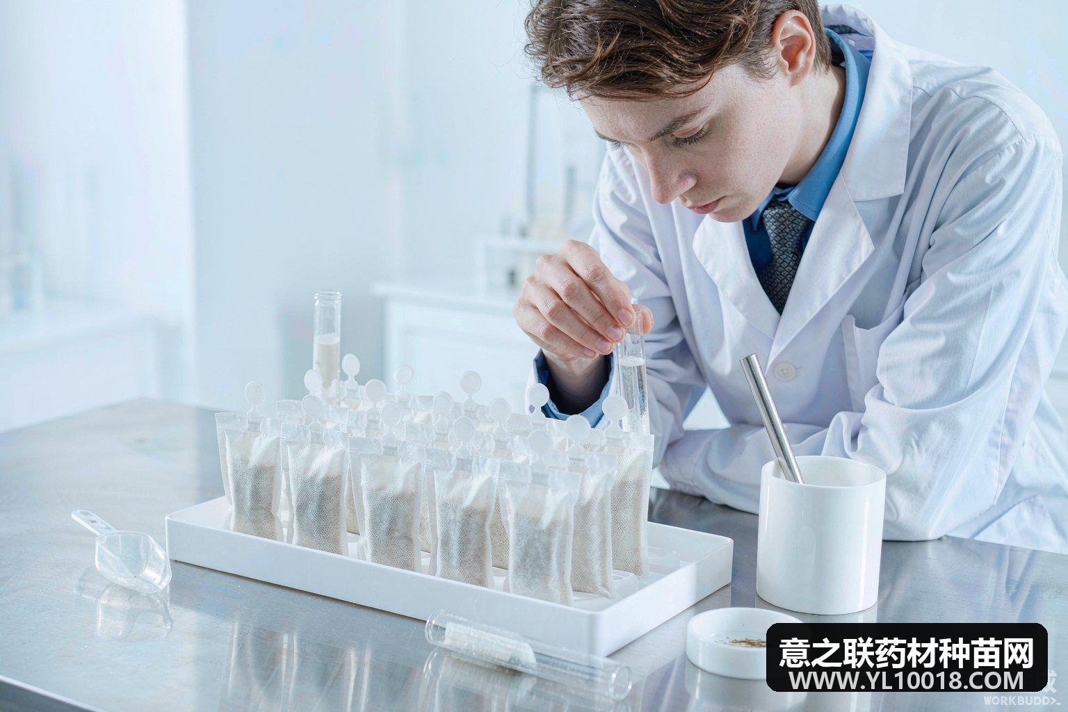 河南发布首批30个中药配方颗粒省标