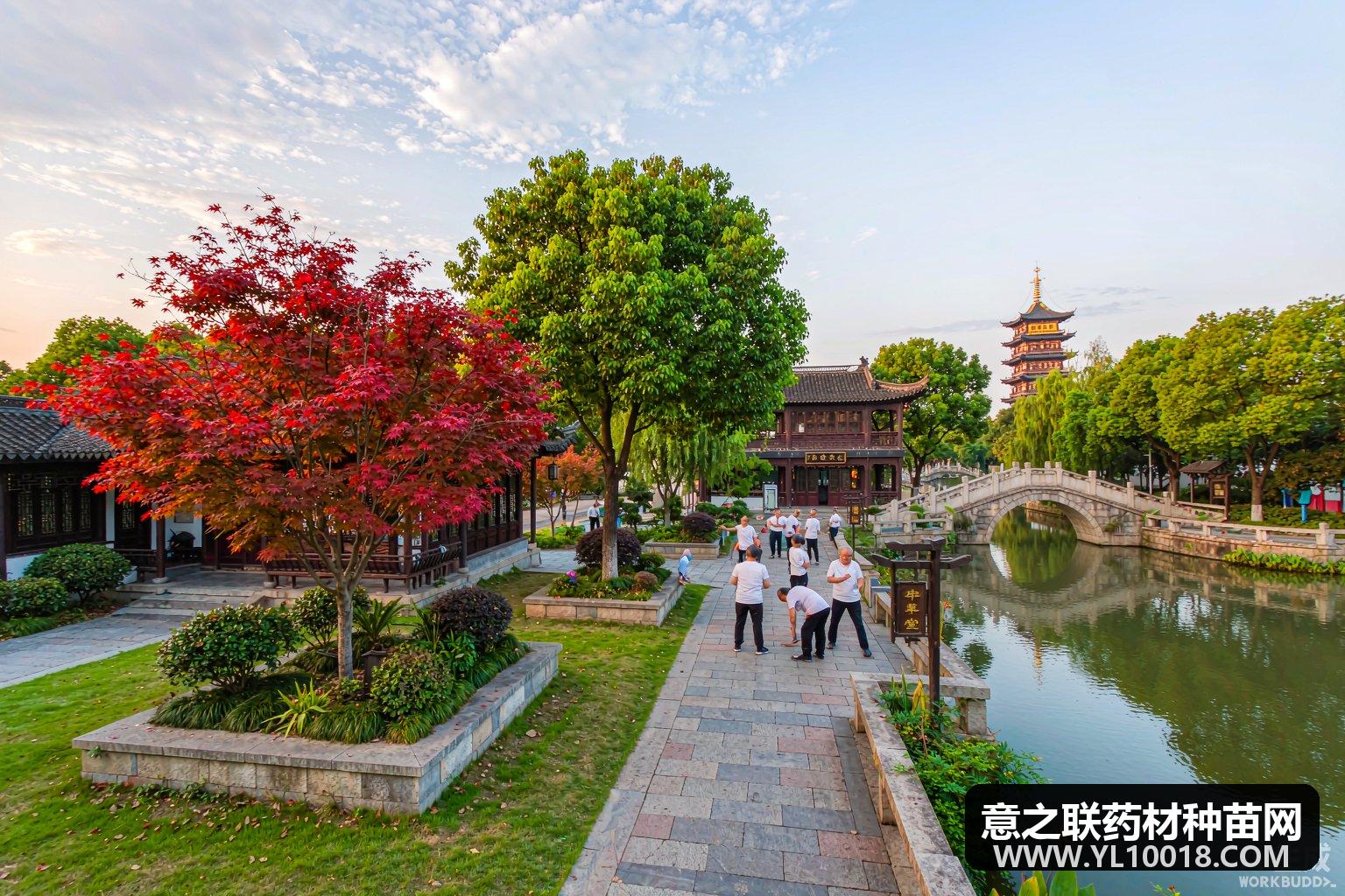 南阳中医药+破圈 医养食宿游一体化