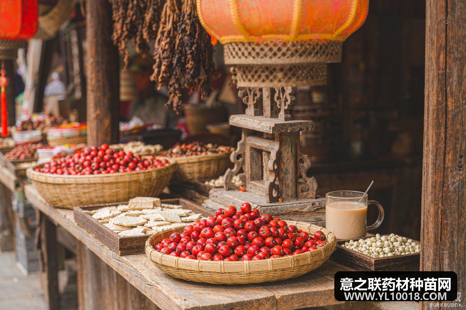 阳春重阳古墟春砂仁奶茶出圈