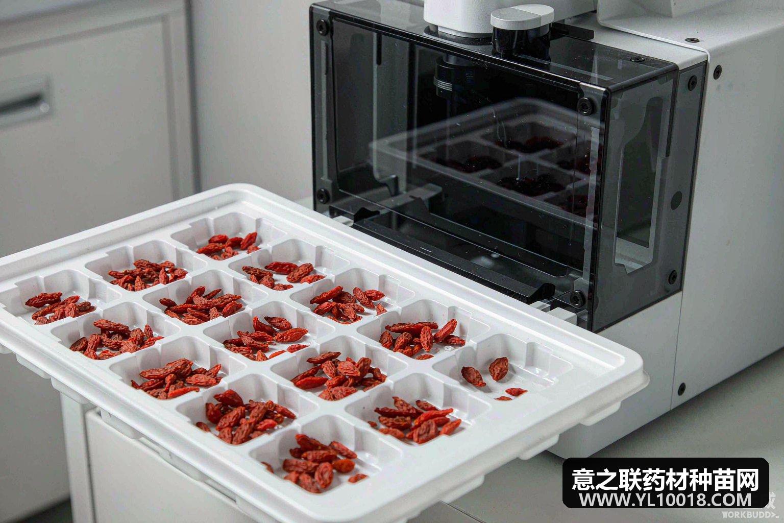 宁夏发布枸杞二氧化硫快检标准