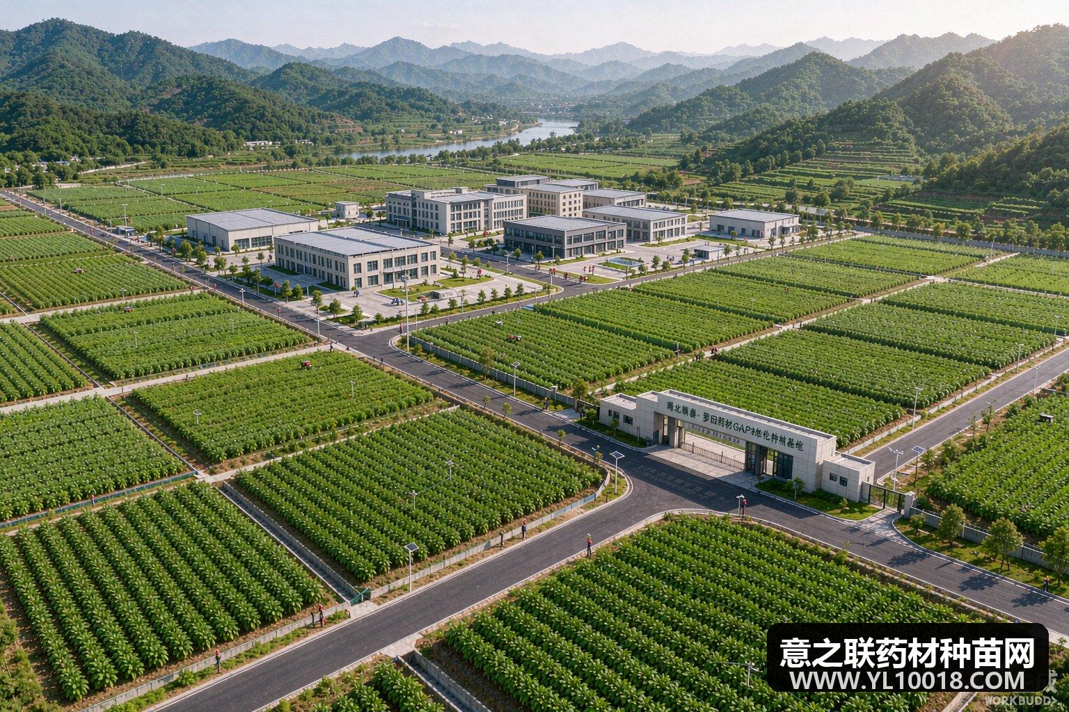 湖北黄冈艾叶天麻通过GAP检查