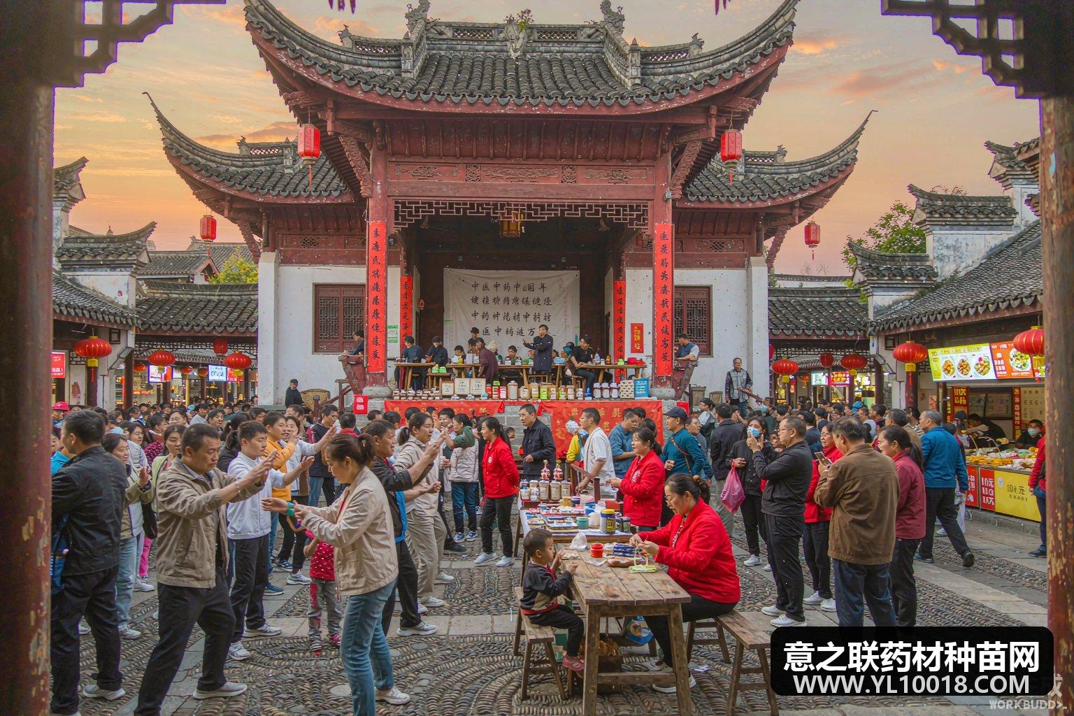 镇江百市千县中医药健康养生文化行启幕