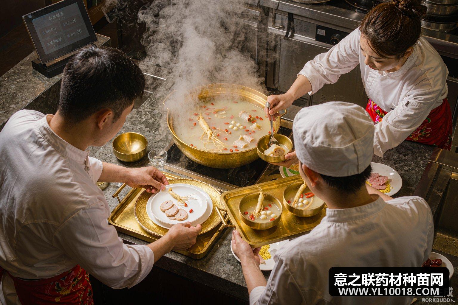成都温江药膳技能大赛暨中医集市开赛